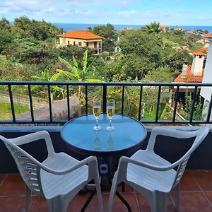 https://scenic-comfort-d.madeira-islandshotels.com